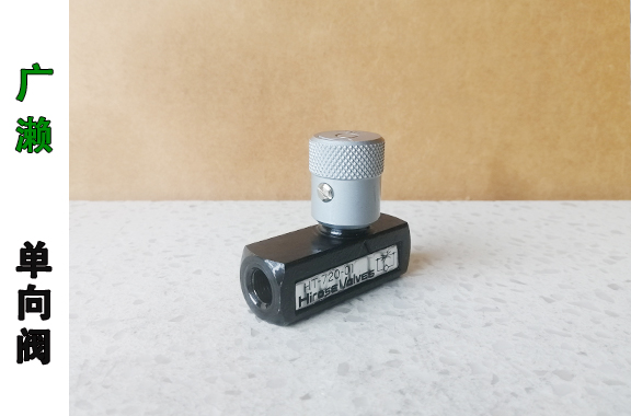 電廠(chǎng)-廣瀨HT-720-01節(jié)流閥